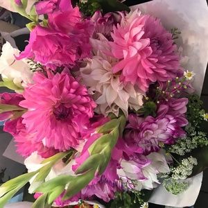 Meet your Posher, Diana